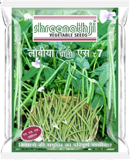 ચોલી એસ 7